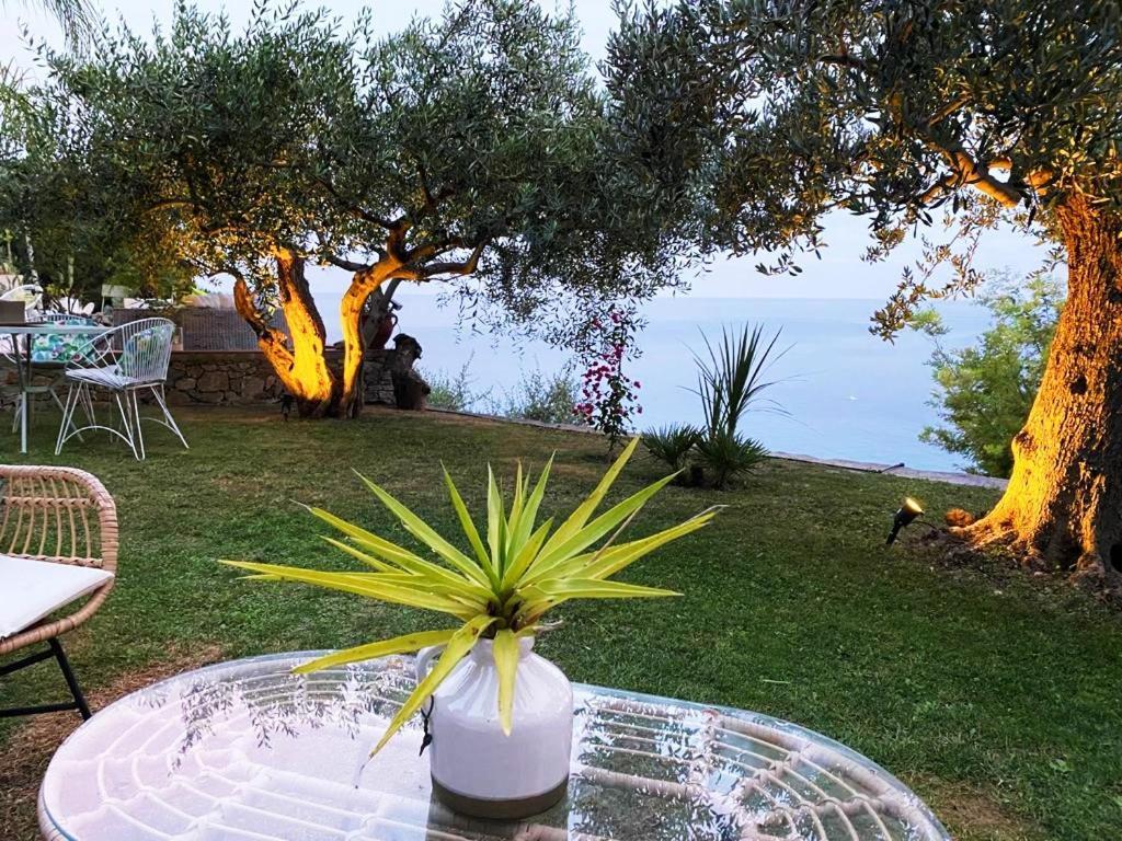 La Bouganvilla Charme & Relax Vista Mare Finale Ligure Exteriör bild
